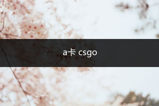 a卡 csgo