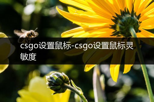 csgo设置鼠标-csgo设置鼠标灵敏度