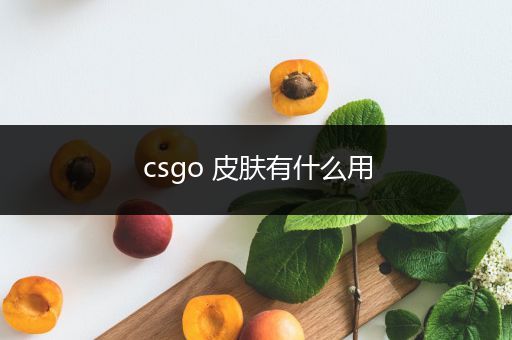 csgo 皮肤有什么用