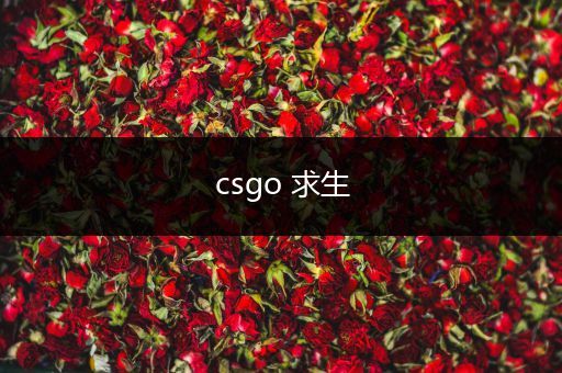 csgo 求生