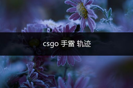 csgo 手雷 轨迹