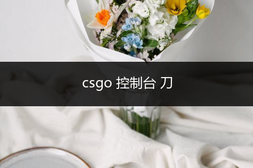 csgo 控制台 刀