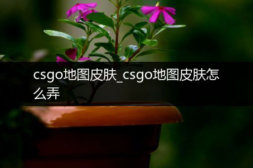 csgo地图皮肤_csgo地图皮肤怎么弄