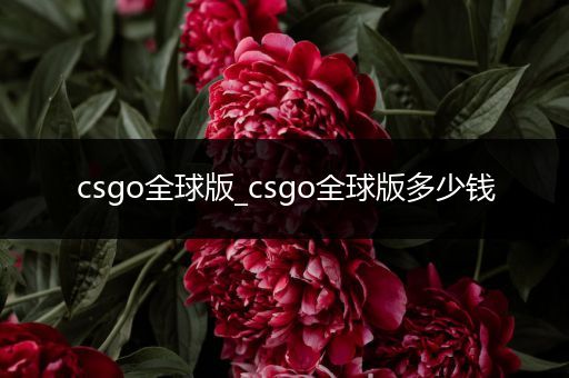 csgo全球版_csgo全球版多少钱