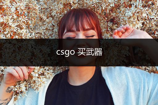 csgo 买武器