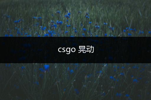 csgo 晃动