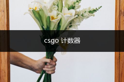 csgo 计数器