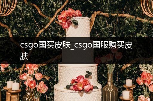 csgo国买皮肤_csgo国服购买皮肤