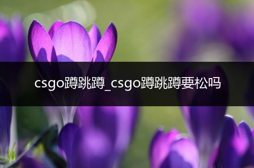 csgo蹲跳蹲_csgo蹲跳蹲要松吗