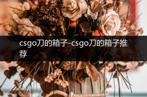 csgo刀的箱子-csgo刀的箱子推荐