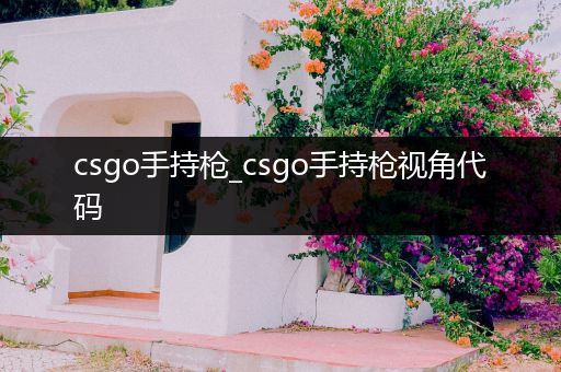 csgo手持枪_csgo手持枪视角代码