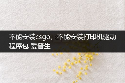 不能安装csgo，不能安装打印机驱动程序包 爱普生