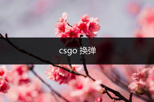 csgo 换弹