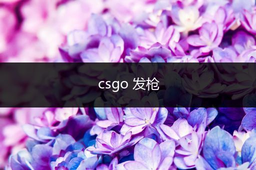 csgo 发枪