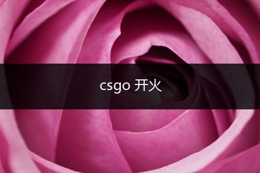 csgo 开火