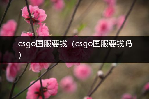 csgo国服要钱（csgo国服要钱吗）