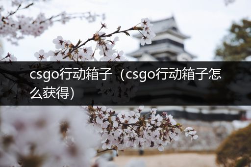 csgo行动箱子（csgo行动箱子怎么获得）