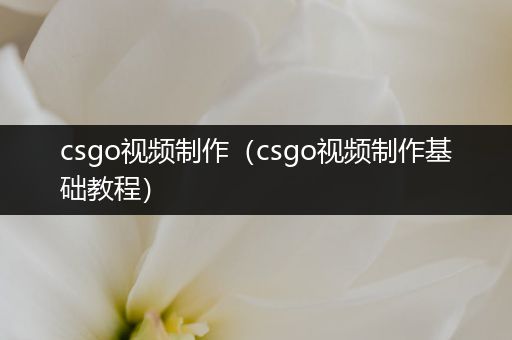 csgo视频制作（csgo视频制作基础教程）