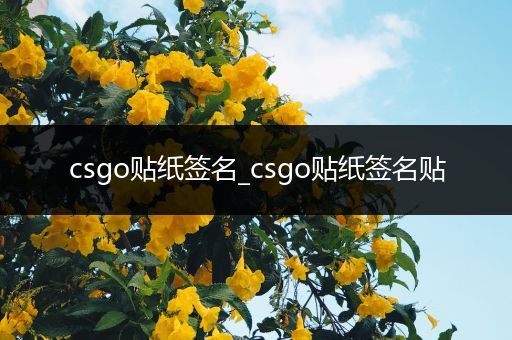 csgo贴纸签名_csgo贴纸签名贴