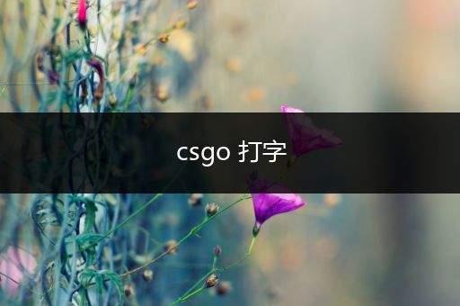 csgo 打字