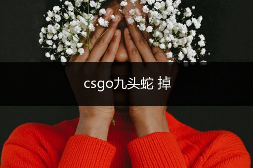 csgo九头蛇 掉