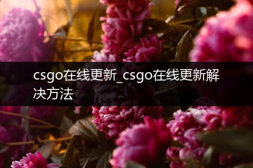 csgo在线更新_csgo在线更新解决方法