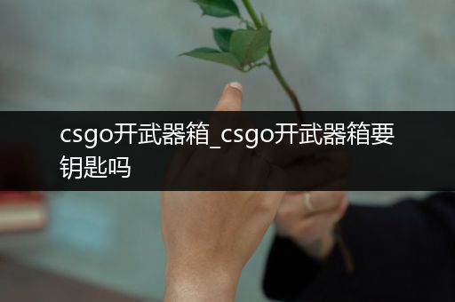 csgo开武器箱_csgo开武器箱要钥匙吗