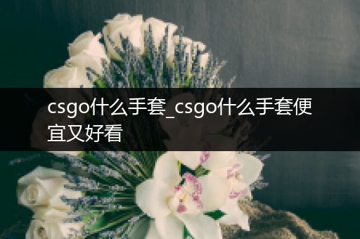 csgo什么手套_csgo什么手套便宜又好看