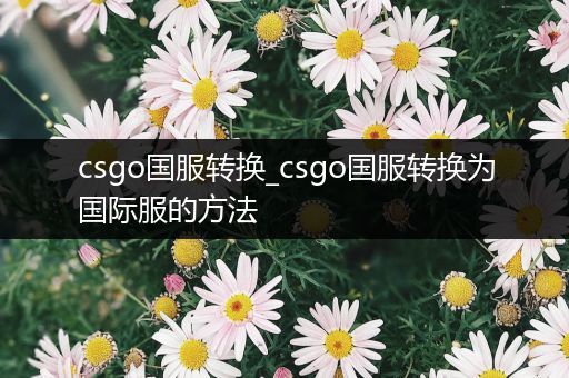 csgo国服转换_csgo国服转换为国际服的方法