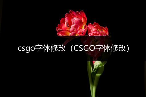 csgo字体修改（CSGO字体修改）