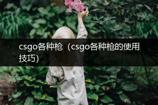 csgo各种枪（csgo各种枪的使用技巧）