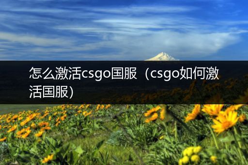 怎么激活csgo国服（csgo如何激活国服）