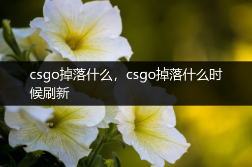 csgo掉落什么，csgo掉落什么时候刷新