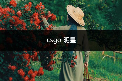 csgo 明星