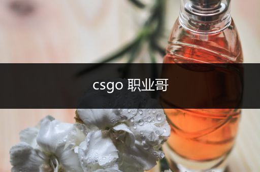 csgo 职业哥