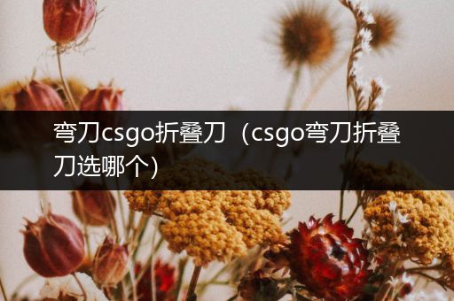 弯刀csgo折叠刀（csgo弯刀折叠刀选哪个）