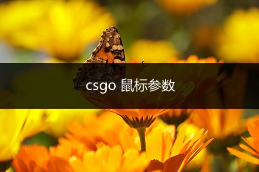 csgo 鼠标参数