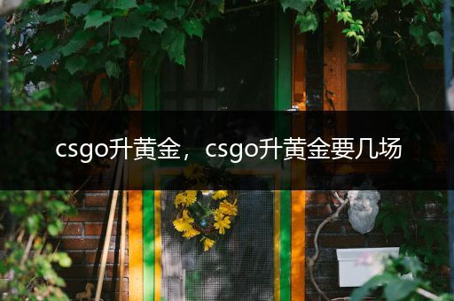 csgo升黄金，csgo升黄金要几场