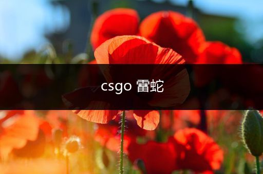 csgo 雷蛇