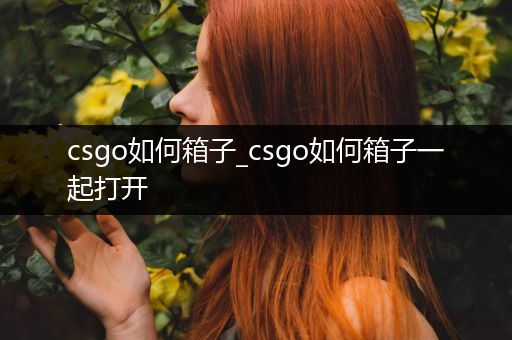 csgo如何箱子_csgo如何箱子一起打开