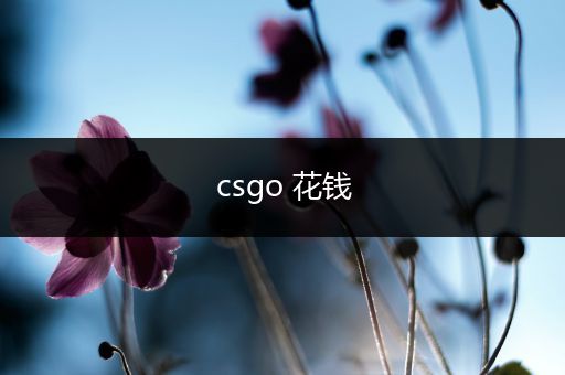 csgo 花钱