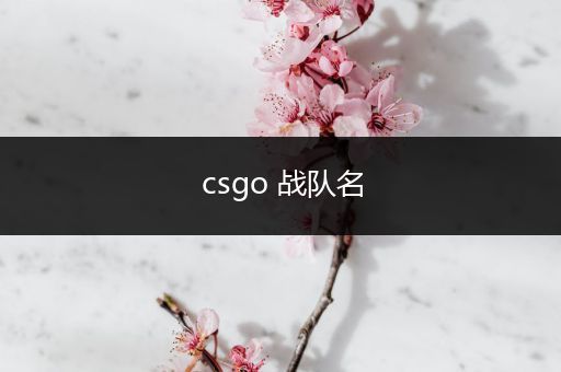 csgo 战队名