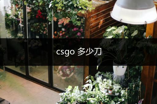 csgo 多少刀