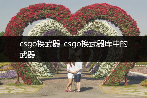 csgo换武器-csgo换武器库中的武器