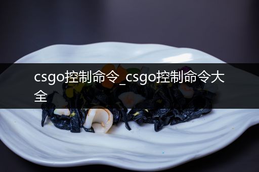 csgo控制命令_csgo控制命令大全