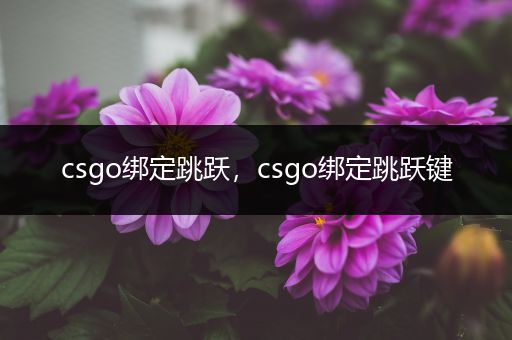 csgo绑定跳跃，csgo绑定跳跃键