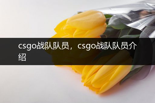 csgo战队队员，csgo战队队员介绍