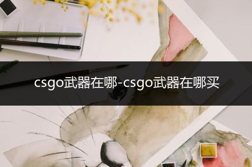 csgo武器在哪-csgo武器在哪买