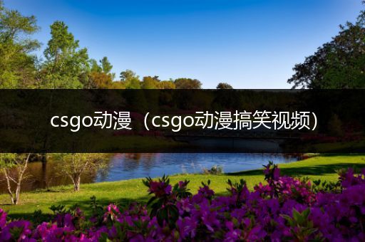 csgo动漫（csgo动漫搞笑视频）