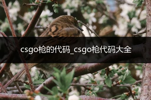 csgo枪的代码_csgo枪代码大全